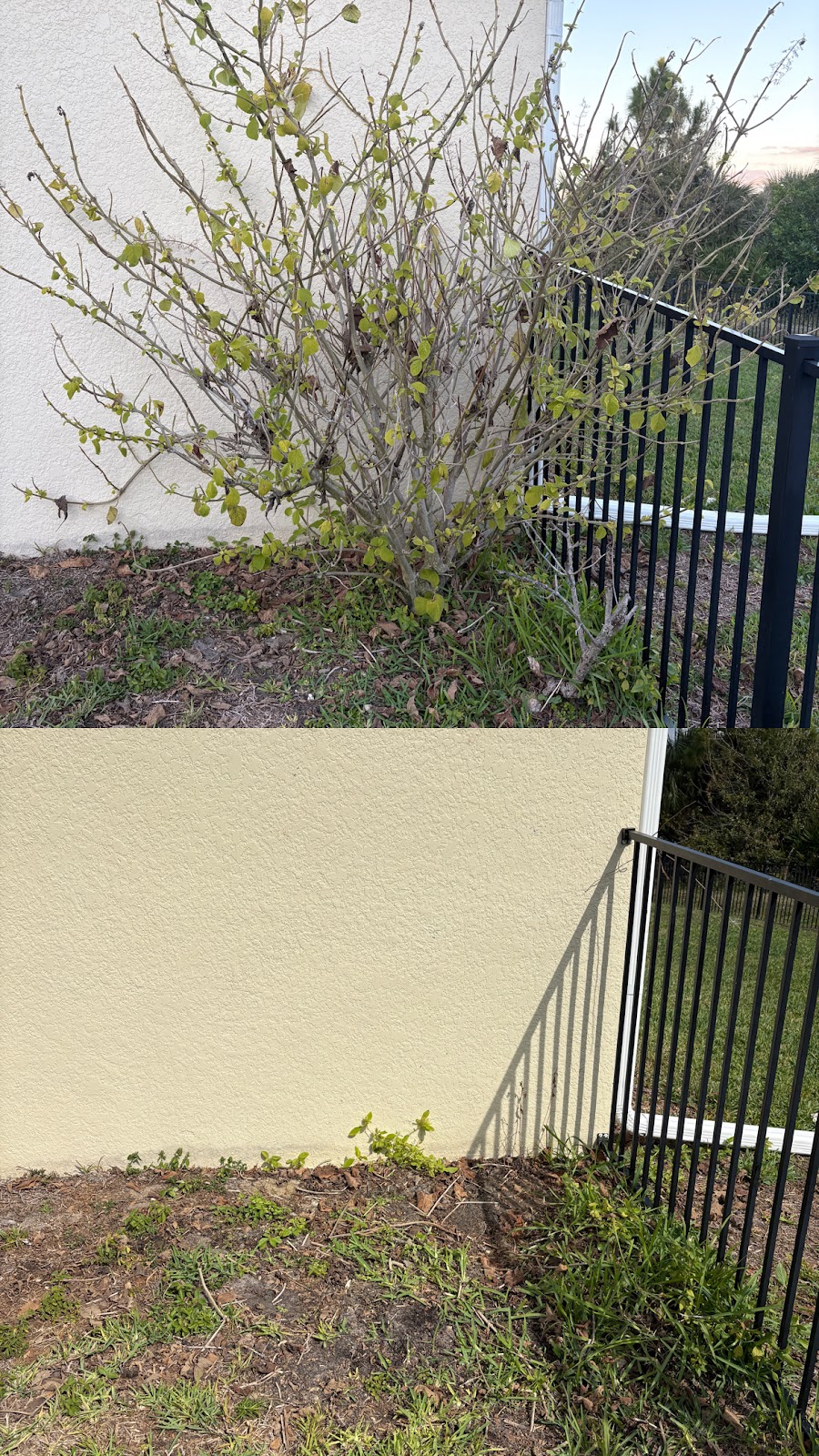 EliteLandscaping work