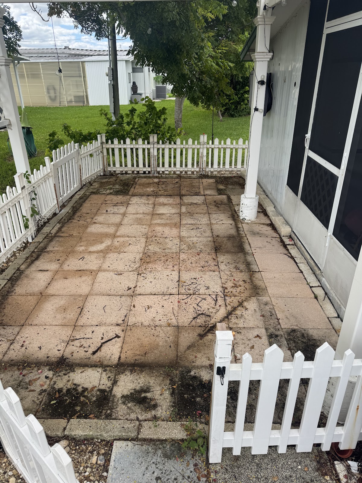 project photo