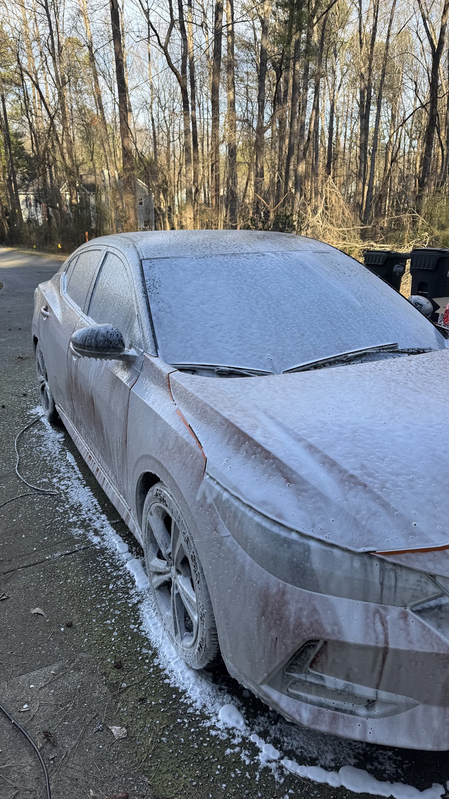 project photo