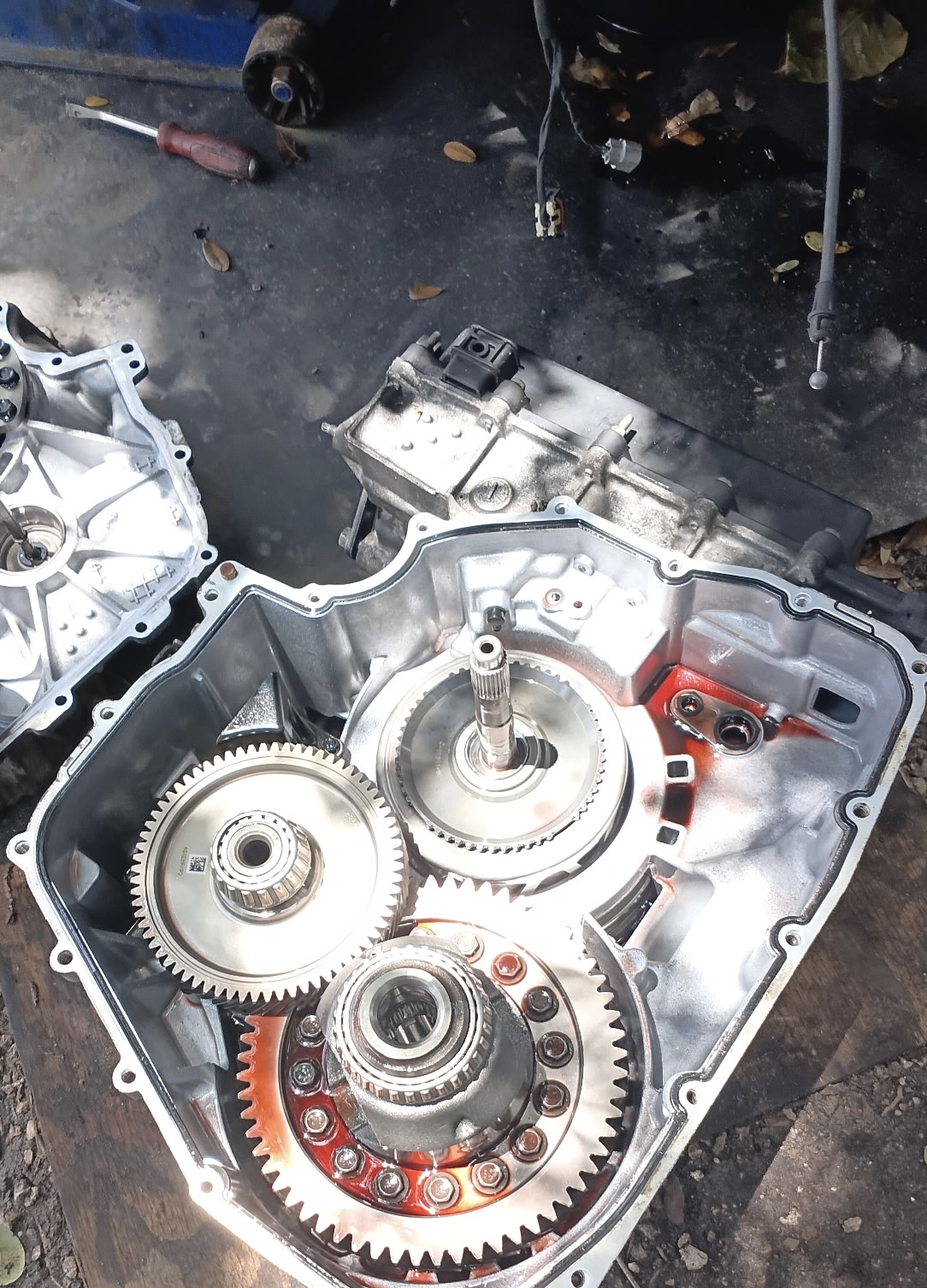 project photo