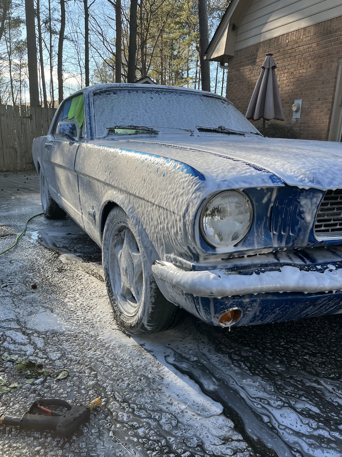 project photo